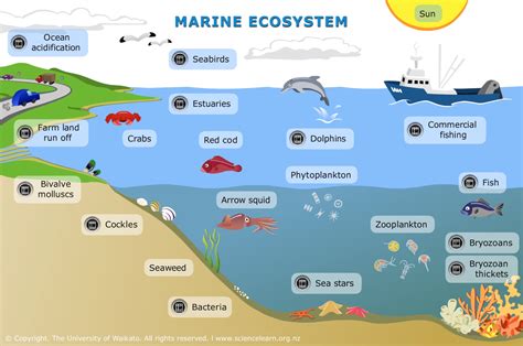 ocean is home resources collection